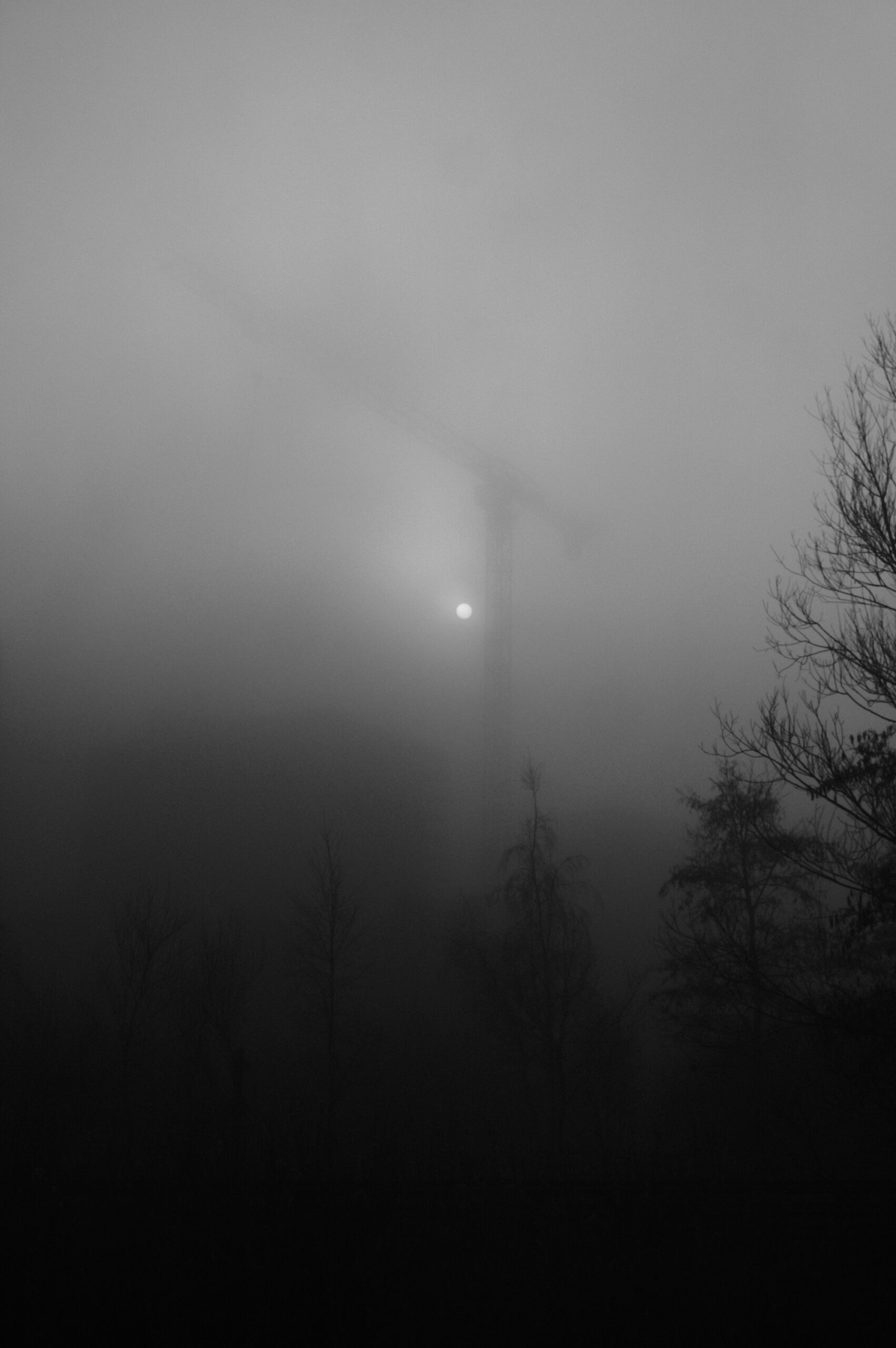 Ariel Artur - Stills